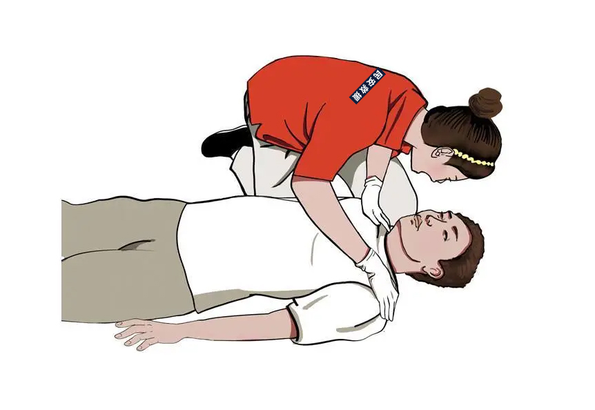 2.jpg