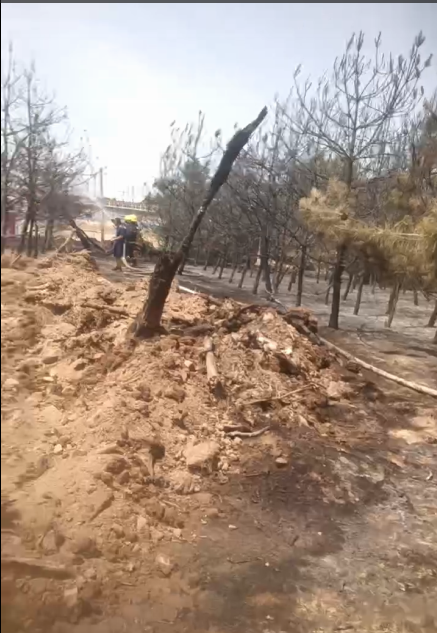 微信图片_2025-08-22_123801_864.png
